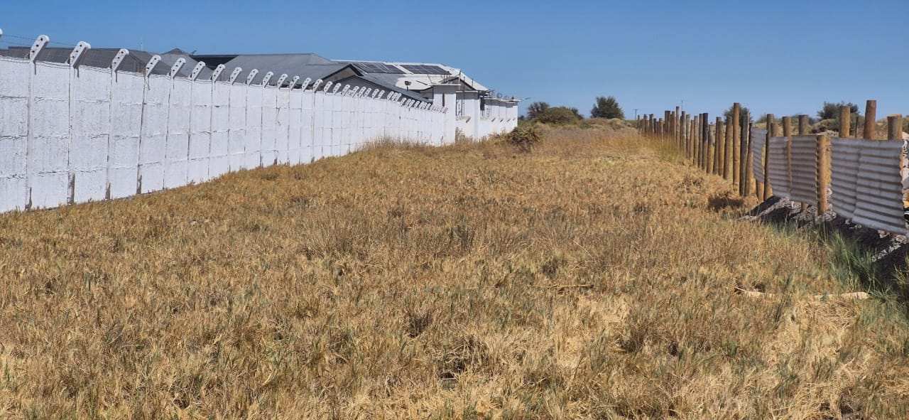 WhatsApp Image 2025-08-17 at 12.19.06 PM_69ee4b2c44646.jpeg